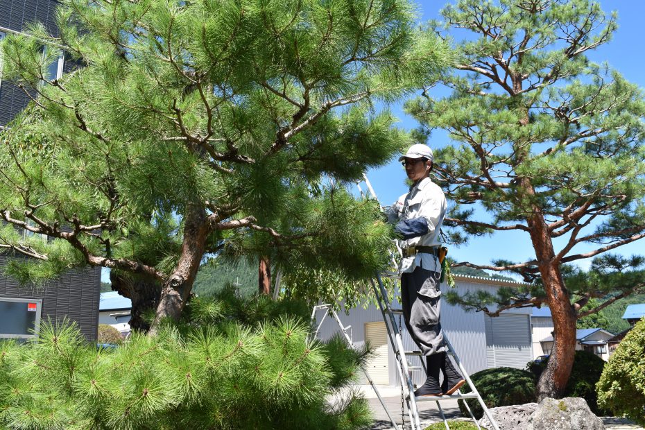 秋田県で空き家の管理にお困りでしたら 弊社にお任せください / 2021年5月1日/ グリーン企画 空き家管理部
